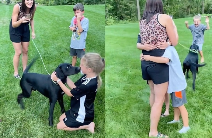 Pour annoncer l’adoption d’un chien à ses enfants, un couple utilise un stratagème original (vidéo)