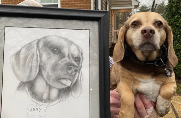Chéri toute sa vie, ce Beagle âgé est abandonné à contrecœur dans un refuge avec toutes ses affaires