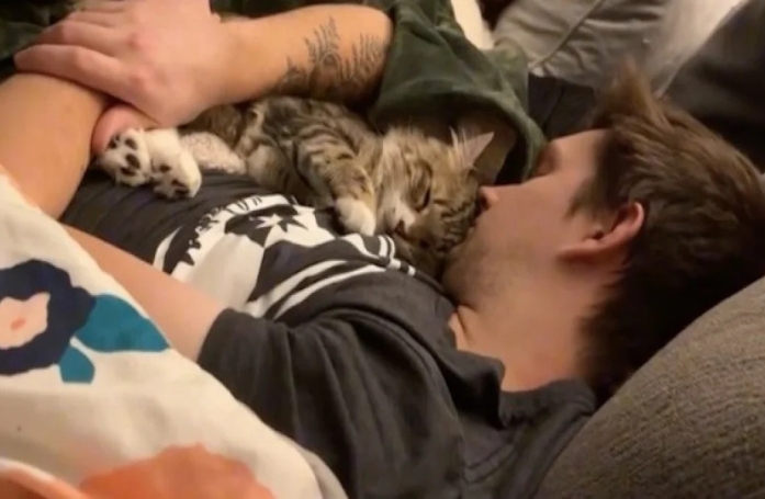 Reconnaissant pour sa nouvelle vie, ce chat longtemps délaissé dans son refuge montre chaque jour à ses nouveaux maîtres à quel point il les aime (vidéo)