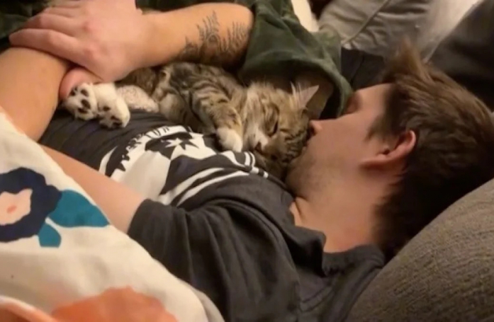 Reconnaissant pour sa nouvelle vie, ce chat longtemps délaissé dans son refuge montre chaque jour à ses nouveaux maîtres à quel point il les aime (vidéo)