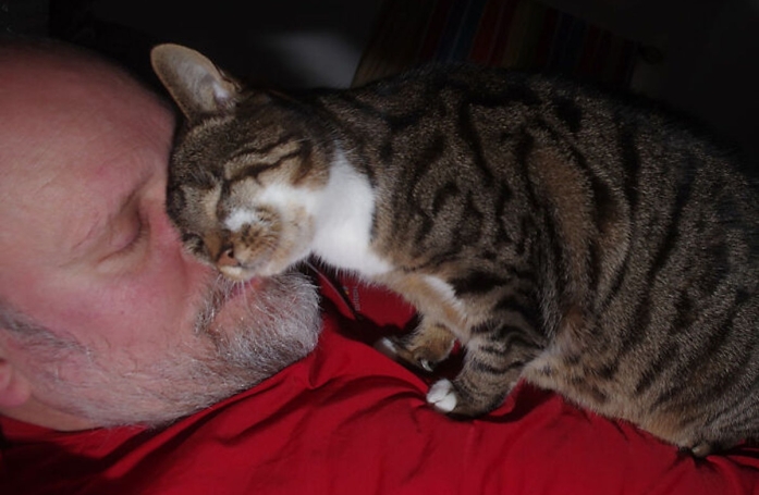 L'amour inconditionnel d'un couple transforme la vie d'une chatte sans yeux, qui a été maltraitée