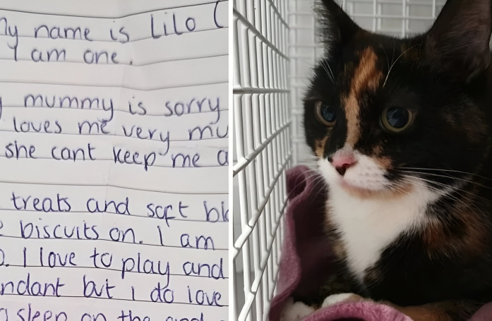 Ne pouvant plus s’occuper de sa chatte, une femme l’abandonne près d’un refuge avec un mot particulièrement touchant