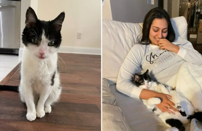 Invisible aux yeux des adoptants potentiels, un chat non épargné par les épreuves de la vie fait une rencontre merveilleuse (vidéo)
