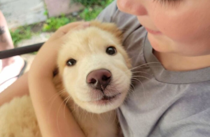 20 photos de chats et de chiens prêts à commencer une nouvelle aventure pleine d'amour dans leur famille d'adoption