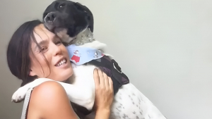 Illustration : "Adoptée dans un refuge avec sa sœur, cette chienne exprime sa reconnaissance à sa maîtresse d’une adorable manière (vidéo)"