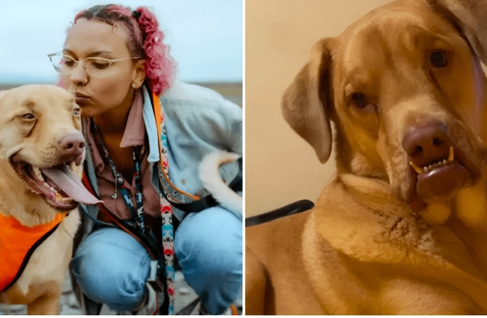 En adoptant un chien malade hors du commun, une jeune femme est rapidement convaincue d’avoir pris la meilleure décision de sa vie