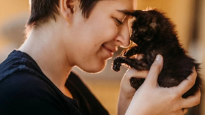 Illustration : "Un chaton aveugle, malade et amputé d’une patte est adopté par une famille d’accueil au grand cœur qui souhaite lui offrir les meilleurs soins vétérinaires possibles (vidéo)"