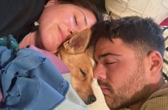 Seulement 2 semaines après son adoption, cette chienne donne naissance à des petits à la grande surprise de ses nouveaux maîtres (vidéo)