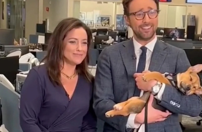 Bow, un chiot orphelin, s'endort à la télé et trouve enfin une famille aimante (vidéo)