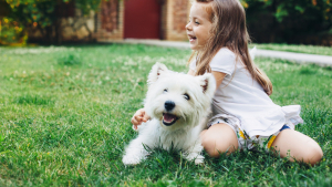 Illustration : "Comment assurer une cohabitation harmonieuse entre un chat ou un chien et un enfant ?"