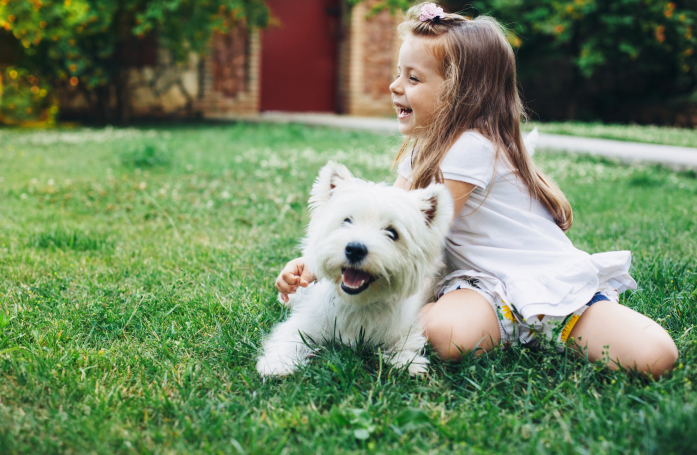Comment assurer une cohabitation harmonieuse entre un chat ou un chien et un enfant ?