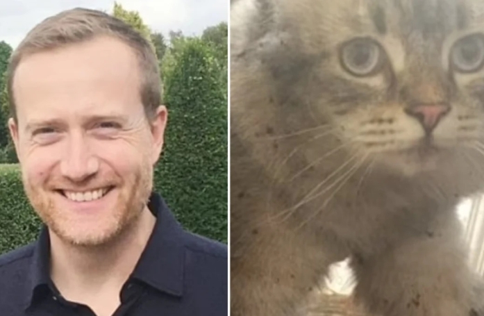 Cet homme n'aurait jamais dû laisser son ordinateur sans surveillance avec son chat dans les parages