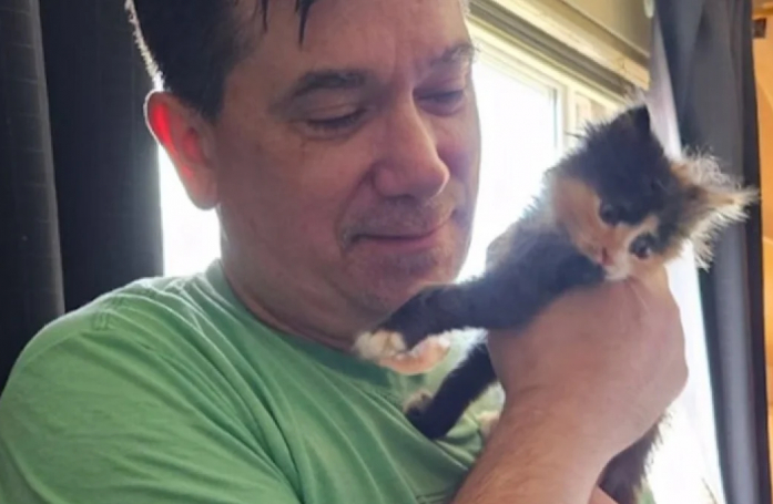 En sauvant ce chaton porte-bonheur de la rue, un facteur bienveillant reçoit une incroyable récompense