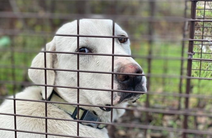 La vie de Betty est un récit émouvant et parsemée de rebondissements (vidéo)