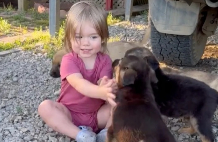 Une petite fille au grand cœur découvre des chiots abandonnés et se lie d'amitié avec eux (vidéo)