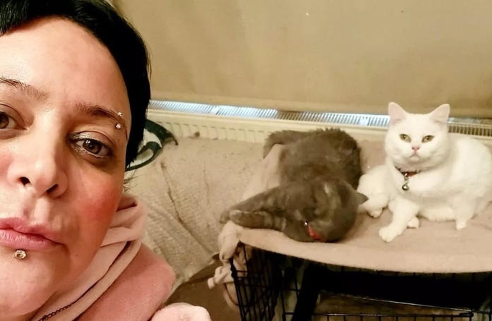Pour nourrir ses chats, cette femme en difficulté ne mange qu'un repas par semaine