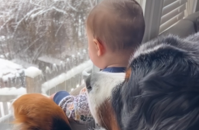 Cette chienne et ce bébé ont un rituel magnifique qui souligne leur grande amitié (vidéo)