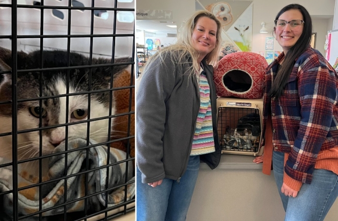 Deux ans après la disparition de leur chat, un couple en adopte un nouveau et découvre son sosie parfait