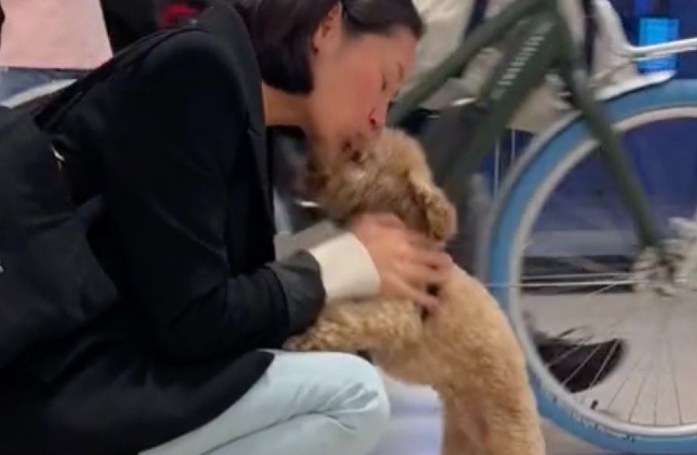 Après une trop longue absence, un chien rejoint sa maîtresse à l’aéroport et lui montre à quel point il tient à elle (vidéo)