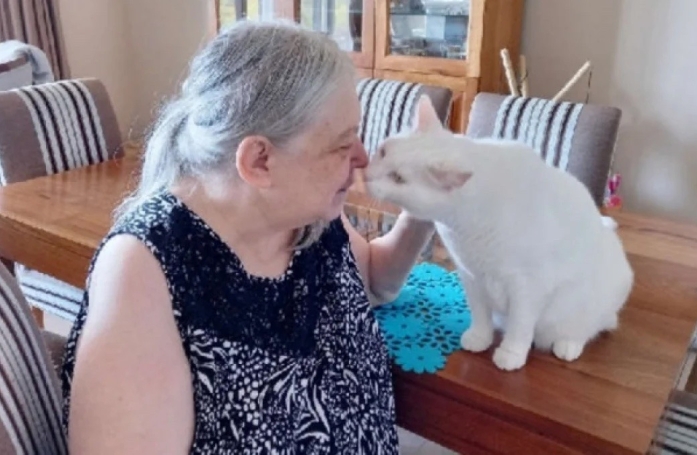Après le décès de sa maîtresse, ce chat bénéficie d’un programme d’accueil spécial et peut assister à son enterrement