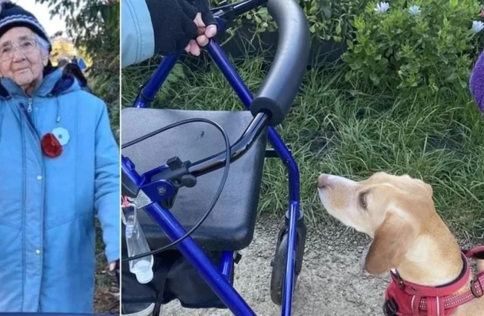 Une nonagénaire reçoit un hommage de plus de 30 chiens et leurs propriétaires en guise d'adieu