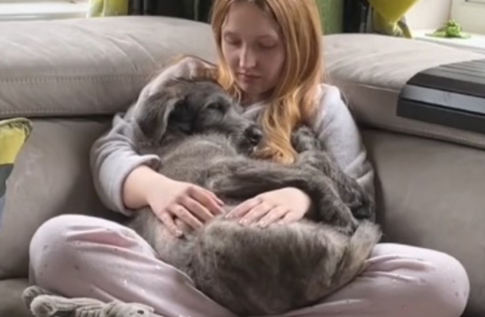 Ce jeune Lévrier Irlandais nous montre son incroyable évolution en seulement 3 mois (vidéo)