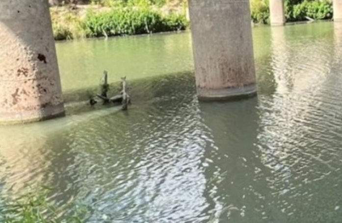 Piégé au beau milieu d’un cours d’eau, un chaton suscite l’inquiétude d’un homme engagé dans la cause animale