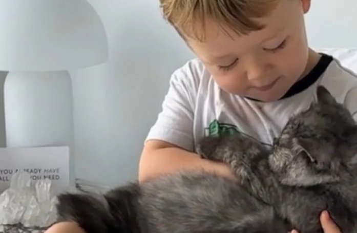 La fabuleuse relation entre un enfant et son chat Freddy qui adorent partager des séances de lecture (vidéo)