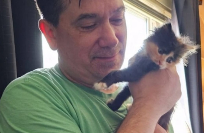 Un facteur sauve un chaton abandonné et remporte le jackpot de la loterie