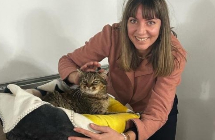 Un chat errant devient l’assistant de la maire de la commune après avoir connu l’errance