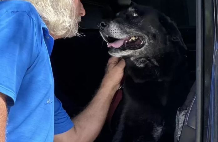 Il aura fallu 10 ans pour que cette chienne timide connaisse enfin le bonheur d'un foyer