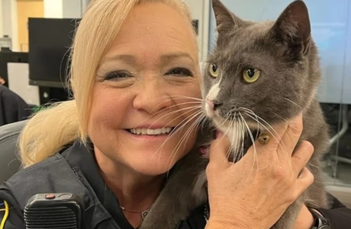 Alors que sa grand-mère allait à l'aéroport, ce chat a décidé de s'introduire dans la voiture et de fuir dans l'aéroport