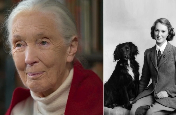 Jane Goodall, célèbre éthologue, explique l'impact qu'a eu son chien d'enfance sur sa perception des animaux