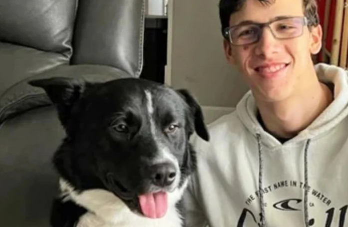 Très attentif, ce Border Collie a sauté sur le lit de ses maîtres au beau milieu de la nuit pour les conduire jusqu’à la chambre de leur fils