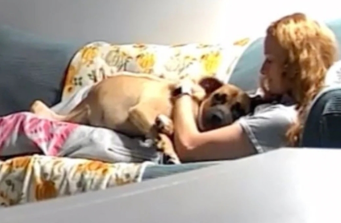 Cette chienne venant d'être sauvée d'un refuge tient à montrer sa profonde gratitude à sa maîtresse (vidéo)