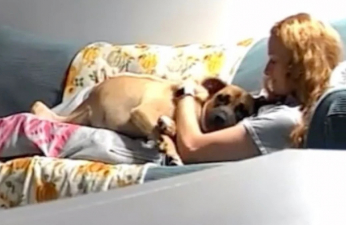 Cette chienne venant d'être sauvée d'un refuge tient à montrer sa profonde gratitude à sa maîtresse (vidéo)