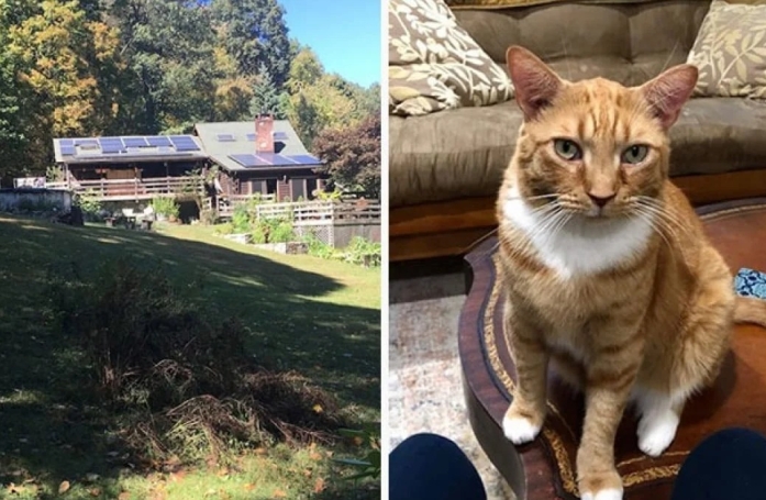 Dans ce Air BnB, l'hôte qui fait visiter le logement et les environs n'est rien d'autre qu'un chat