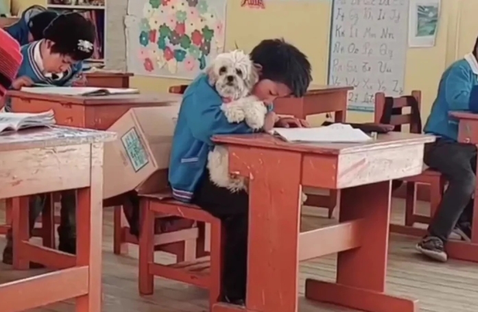 Inquiet de savoir sa chienne seule, cet écolier décide de l'amener à l'école, au plus grand bonheur des enfants (vidéo)