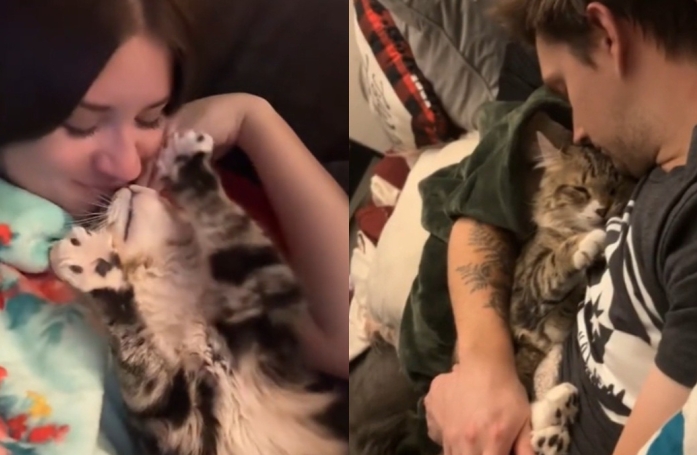 Le plus ancien chat du refuge montre toute son affection aux personnes qui l'ont enfin adopté (vidéo)