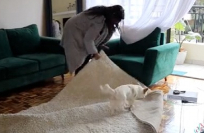 Une chienne adoptée transforme la corvée du ménage en un moment complice avec sa maîtresse (vidéo)