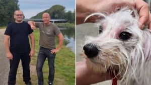 Illustration : "3 pêcheurs se précipitent à la rescousse d’un chien jeté dans un canal par un homme"
