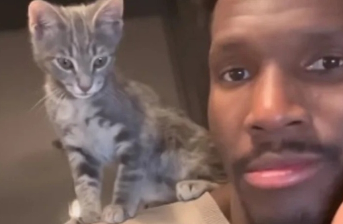 Un basketteur professionnel adopte un chaton né dans la salle de son club