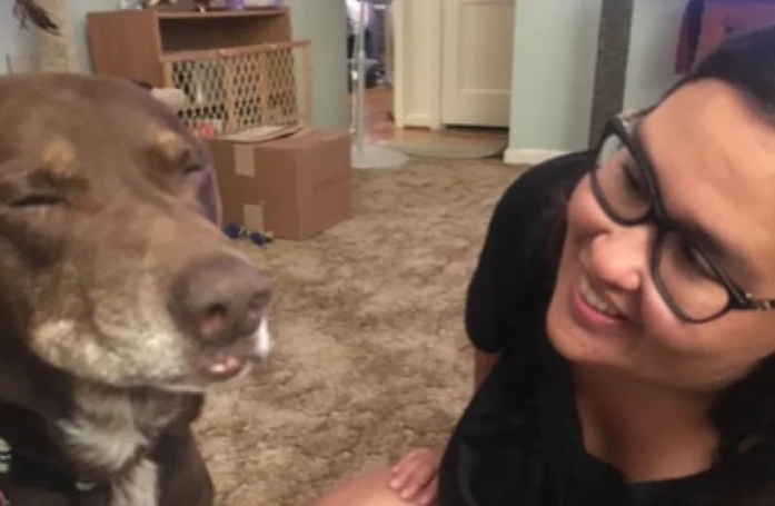 Cette amoureuse des animaux transforme les derniers jours de ce chien malade en instant de rêve