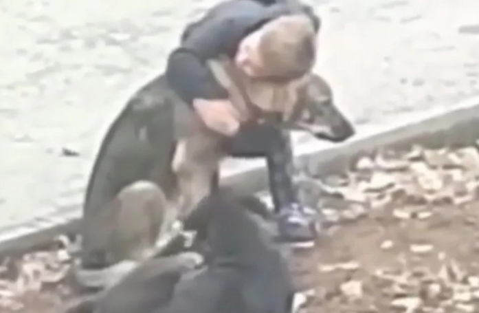 Ce petit garçon fait des câlins à des chiens abandonnés sans savoir qu’il est filmé (vidéo)