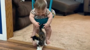 Illustration : "Le rire de ce bébé qui rencontre un chaton pour la première fois est communicatif "
