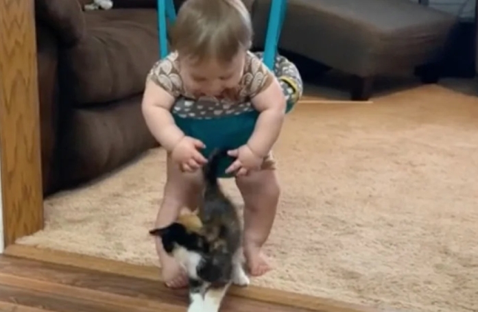 Le rire de ce bébé qui rencontre un chaton pour la première fois est communicatif 