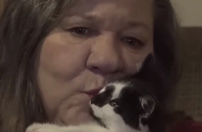 Ce jour où un petit chaton handicapé a sauvé la vie d’une femme seule et endeuillée