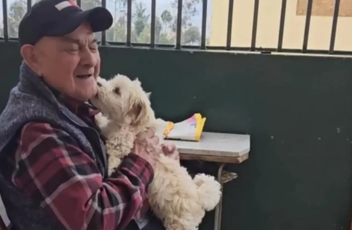 Un homme de 96 ans accueille un chien chez lui et s’offre une seconde jeunesse (vidéo)