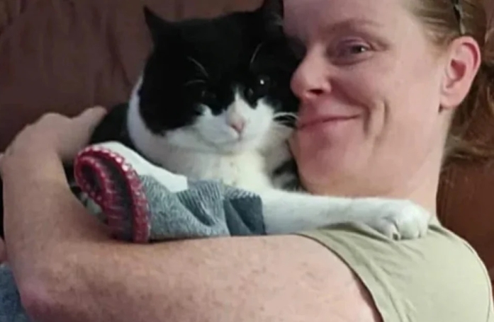 Ce chat abandonné retrouve un chaleureux foyer le temps d’un instant