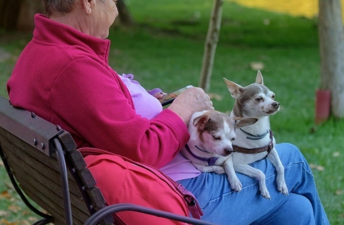 Cette femme, amoureuse des animaux et fortunée, surprend sa famille avec son testament 